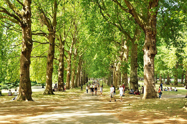 Green Park Londres