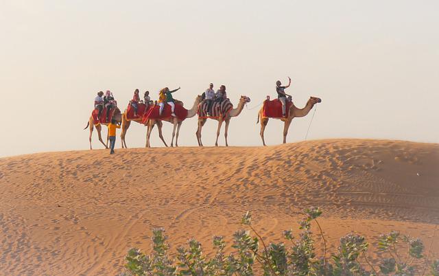 excursion desert dubai chameau