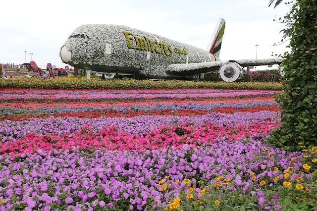 Miracle Garden Dubai Airbus A380