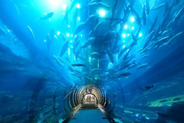 Tunnel Aquarium Dubai
